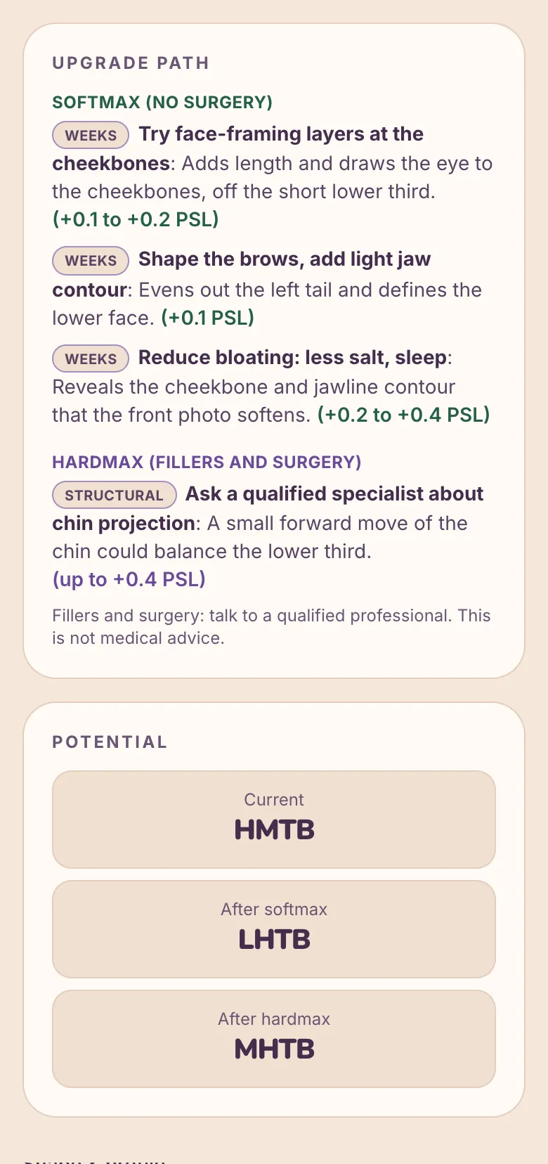Sample full report — Softmax and Hardmax upgrade path with potential tiers, fictional AI-generated person