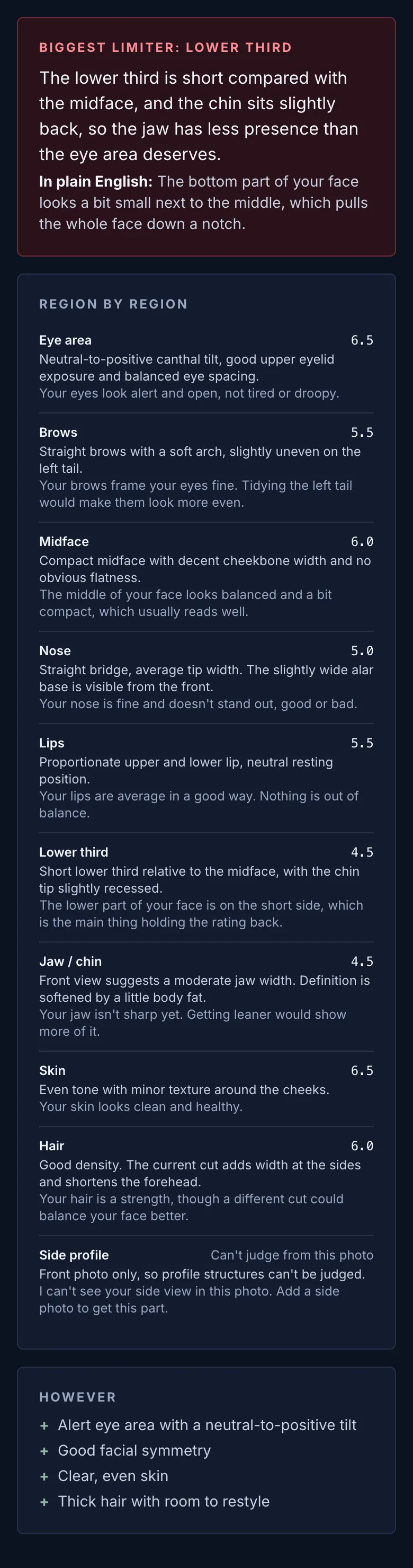 Sample full report — region-by-region comments and main limiter, fictional AI-generated person